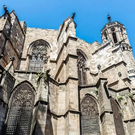 Ramblas Bcn Excellent Location 9
